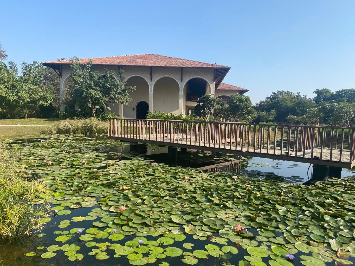 Bhanu The Fern Forest Resort & Spa, Jambughoda エクステリア 写真